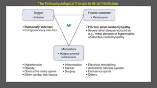 The Pathophysiological Triangle in Atrial Fibrillation
 