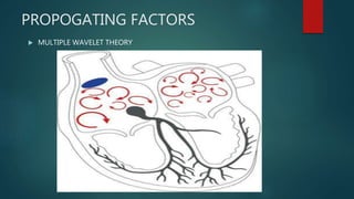 PROPOGATING FACTORS
 MULTIPLE WAVELET THEORY
 
