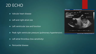 2D ECHO
 Valvular heart disease
 Left and right atrial size
 Left ventricular size and function
 Peak right ventricular pressure (pulmonary hypertension)
 Left atrial thrombus (low sensitivity)
 Pericardial disease
 