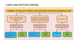 1.RATE AND RHYTHM CONTROL
 