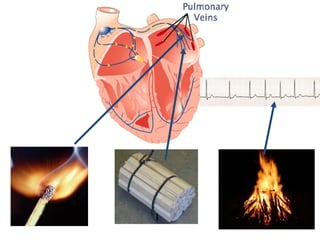 Substrate for   Substrate for
Triggering events
                    initiation      perpetuation
 