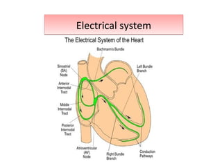 Electrical systemElectrical system
 