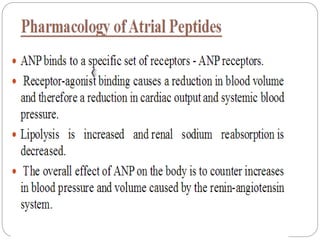 Peptide atrial natriuretic Atrial Natriuretic