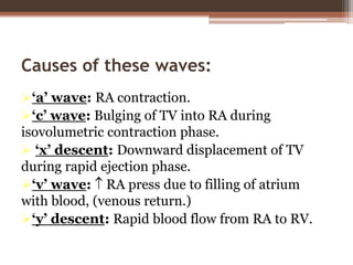 Causes of these waves:
‘a’ wave: RA contraction.
‘c’ wave: Bulging of TV into RA during
isovolumetric contraction phase.
 ‘x’ descent: Downward displacement of TV
during rapid ejection phase.
‘v’ wave:  RA press due to filling of atrium
with blood, (venous return.)
‘y’ descent: Rapid blood flow from RA to RV.
 