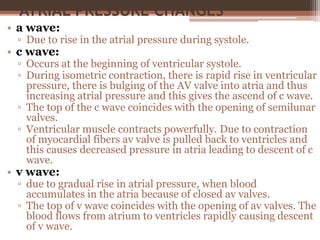 ATRIAL PRESSURE CHANGES
• a wave:
▫ Due to rise in the atrial pressure during systole.
• c wave:
▫ Occurs at the beginning of ventricular systole.
▫ During isometric contraction, there is rapid rise in ventricular
pressure, there is bulging of the AV valve into atria and thus
increasing atrial pressure and this gives the ascend of c wave.
▫ The top of the c wave coincides with the opening of semilunar
valves.
▫ Ventricular muscle contracts powerfully. Due to contraction
of myocardial fibers av valve is pulled back to ventricles and
this causes decreased pressure in atria leading to descent of c
wave.
• v wave:
▫ due to gradual rise in atrial pressure, when blood
accumulates in the atria because of closed av valves.
▫ The top of v wave coincides with the opening of av valves. The
blood flows from atrium to ventricles rapidly causing descent
of v wave.
 