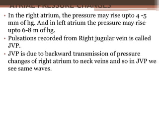 ATRIAL PRESSURE CHANGES
• In the right atrium, the pressure may rise upto 4 -5
mm of hg. And in left atrium the pressure may rise
upto 6-8 m of hg.
• Pulsations recorded from Right jugular vein is called
JVP.
• JVP is due to backward transmission of pressure
changes of right atrium to neck veins and so in JVP we
see same waves.
 
