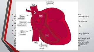 Sinus venosus atrial septal defects 
• uncommon, but not rare, (2% to 3% of interatrial communications). During normal 
embryogenesis, the inferior vena cava and the right superior vena cava are incorporated into 
the right horn of the sinus venosus. 
• Faulty resorption results in a communication near the orifice of the superior or the inferior 
cava. 
• The right valve of the sinus venosus is a broad membrane that almost partitions the 
developing right atrium. 
• Both vena cavas are located on the left side of the membrane. 
• superior vena caval sinus venosus defects : The orifice of the superior vena cava may override 
the defect, which is therefore biatrial. 
• Inferior vena caval sinus venosus defects are located below the foramen ovale and merge with 
the floor of the inferior cava. As the valve of the inferior vena cava resorbs, its rudiment 
becomes the fetal eustachian valve that directs inferior caval blood across the foramen ovale. 
Persistence of a large eustachian valve channels inferior vena caval blood across an ostium 
secundum atrial septal defect or across an inferior vena caval sinus venosus defect 
 