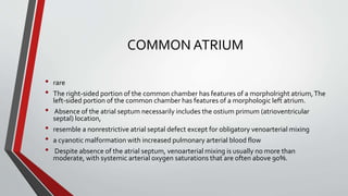 COMMON ATRIUM 
• rare 
• The right-sided portion of the common chamber has features of a morpholright atrium, The 
left-sided portion of the common chamber has features of a morphologic left atrium. 
• Absence of the atrial septum necessarily includes the ostium primum(atrioventricular 
septal) location, 
• resemble a nonrestrictive atrial septal defect except for obligatory venoarterial mixing 
• a cyanotic malformation with increased pulmonary arterial blood flow 
• Despite absence of the atrial septum, venoarterial mixing is usually no more than 
moderate, with systemic arterial oxygen saturations that are often above 90%. 
 