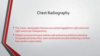 Chest Radiography 
• The classic radiographic features are cardiomegaly(from right atrial and 
right ventricular enlargement), 
• Dilated central pulmonary arteries with pulmonary plethora indicating 
increased pulmonary flow, and a small aortic knuckle (reflecting a chronic 
low–cardiac output state). 
 