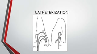 CATHETERIZATION 
 