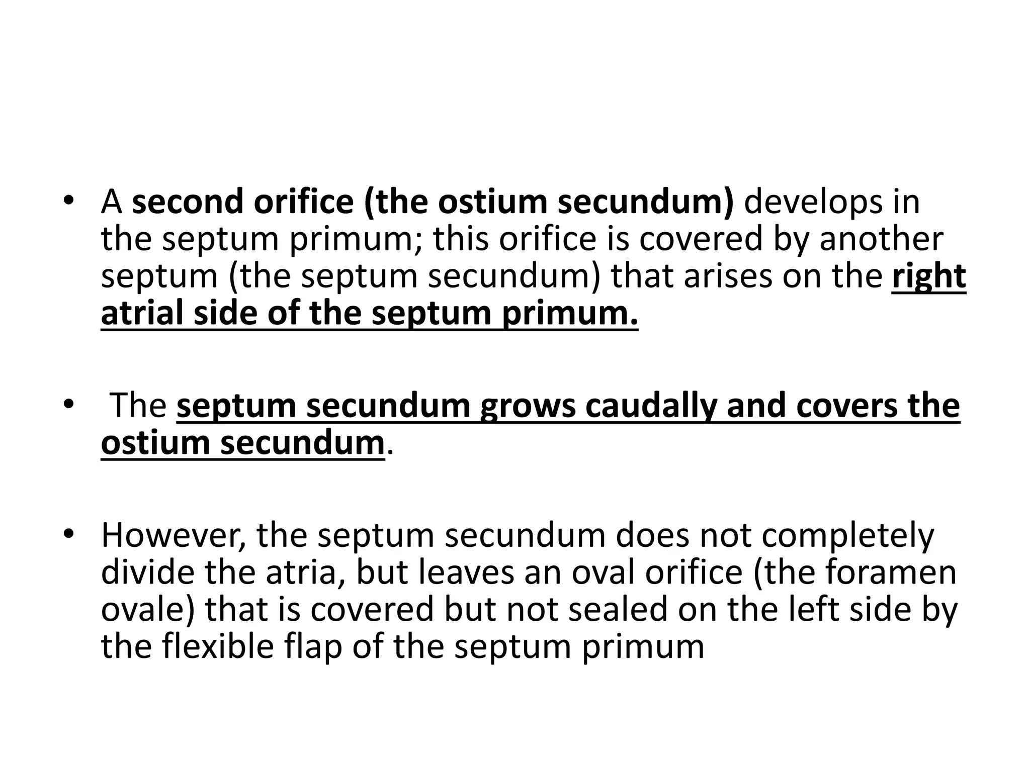 • A second orifice (the ostium secundum) develops in
the septum primum; this orifice is covered by another
septum (the septum secundum) that arises on the right
atrial side of the septum primum.
• The septum secundum grows caudally and covers the
ostium secundum.
• However, the septum secundum does not completely
divide the atria, but leaves an oval orifice (the foramen
ovale) that is covered but not sealed on the left side by
the flexible flap of the septum primum
 