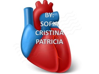 Atrial septal defect sofia cris-patri