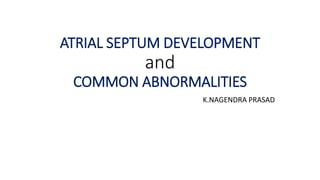 ATRIAL SEPTUM DEVELOPMENT 
and 
COMMON ABNORMALITIES 
K.NAGENDRA PRASAD 
 