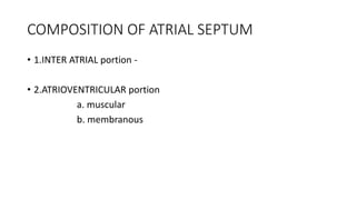 COMPOSITION OF ATRIAL SEPTUM 
• 1.INTER ATRIAL portion - 
• 2.ATRIOVENTRICULAR portion 
a. muscular 
b. membranous 
 
