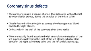 Coronary sinus defects 
• The coronary sinus is a venous channel that is located within the left 
atrioventricular groove, above the annulus of the mitral valve. 
• Distally located tributaries join to convey the deoxygenated blood 
back to the right atrium. 
• Defects within the wall of the coronary sinus are a rarity. 
• They are usually found associated with anomalous connection of the 
left superior caval vein to the roof of the left atrium, which enters 
between the right pulmonary veins and the left atrial appendage. 
 