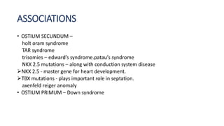 ASSOCIATIONS 
• OSTIUM SECUNDUM – 
holt oram syndrome 
TAR syndrome 
trisomies – edward’s syndrome.patau’s syndrome 
NKX 2.5 mutations – along with conduction system disease 
NKX 2.5 - master gene for heart development. 
TBX mutations - plays important role in septation. 
axenfeld reiger anomaly 
• OSTIUM PRIMUM – Down syndrome 
 