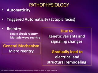 Yu-ki Iwasaki. Circulation. Atrial Fibrillation Pathophysiology, Volume: 124, Issue: 20, Pages: 2264-2274
• Automaticity
• Triggered Automaticity (Ectopic focus)
• Reentry
Single circuit reentry
Multiple wave reentry
Due to
genetic variants and
signaling changes
Gradually lead to
electrical and
structural remodeling
General Mechanism
Micro reentry
 