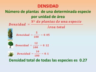 DENSIDAD Número de plantas de una determinada especie por unidad de área Densidad total de todas las especies es 0.27  