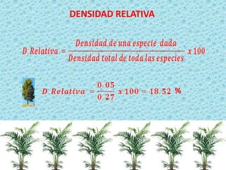 DENSIDAD RELATIVA 
%  