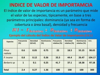 INDICE DE VALOR DE IMPORTAMCIA El índice de valor de importancia es un parámetro que mide el valor de las especies, típicamente, en base a tres parámetros principales: dominancia (ya sea en forma de cobertura o área basal), densidad y frecuencia 
Especies 
Frecuencia (%) 
Densidad 
(#/m2) 
Dominancia (%) 
Frecuencia 
relativa (%) 
Densidad 
relativa (%) 
Dominancia relativa (%) 
I.V.I. 
Pinus radiata 
0.6 
0.05 
0.75 
25 
18.5 
55.15 
98.65 
P. incana 
0.8 
0.12 
0.36 
33.3 
44.4 
26.47 
104.17 
Berberis sp 
1 
0.1 
0.25 
41.7 
37.1 
18.38 
97.18 
Total 
2.4 
0.27 
1.36 
100 
100 
100 
300 
Ejemplo del cálculo del Índice de Valor de Importancia (I.V.I.)  