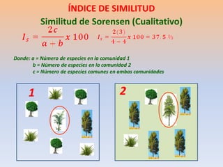 ÍNDICE DE SIMILITUD 
Similitud de Sorensen (Cualitativo) 
Donde: a = Número de especies en la comunidad 1 
b = Número de especies en la comunidad 2 
c = Número de especies comunes en ambas comunidades 
2 
1  
