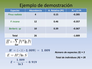 Ejemplo de demostración 
Especies 
Abundancia 
A. Relativa (Pi) 
Pi * Ln Pi 
Pinus radiata 
4 
0.15 
-0.285 
P. incana 
12 
0.46 
-0.357 
Berberis sp 
10 
0.39 
-0.367 
Total 
26 
-1.009 
Número de especies (S) = 3 
Total de individuos (N) = 26  