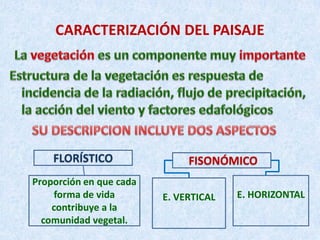 CARACTERIZACIÓN DEL PAISAJE 
E. HORIZONTAL 
E. VERTICAL 
FISONÓMICO 
FLORÍSTICO 
Proporción en que cada forma de vida contribuye a la comunidad vegetal.  