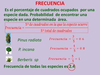 FRECUENCIA 
Es el porcentaje de cuadrados ocupados por una especie dada. Probabilidad de encontrar una especie en una determinada área. 
Frecuencia de todas las especies es 2.4 
Pinus radiata 
P. incana 
Berberis sp  