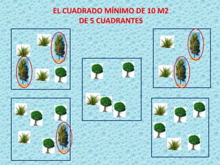 EL CUADRADO MÍNIMO DE 10 M2 
DE 5 CUADRANTES  