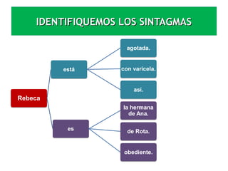 IDENTIFIQUEMOS LOS SINTAGMASIDENTIFIQUEMOS LOS SINTAGMAS
RebecaRebeca
estáestá
agotada.agotada.
con varicela.con varicela.
así.así.
eses
la hermana
de Ana.
la hermana
de Ana.
de Rota.de Rota.
obediente.obediente.
 