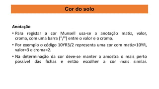 Anotação
• Para registar a cor Munsell usa-se a anotação matiz, valor,
croma, com uma barra ("/") entre o valor e o croma.
• Por exemplo o código 10YR3/2 representa uma cor com matiz=10YR,
valor=3 e croma=2.
• Na determinação da cor deve-se manter a amostra o mais perto
possível das fichas e então escolher a cor mais similar.
Cor do solo
 