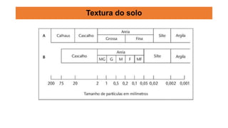 Textura do solo
 