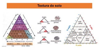 Textura do solo
 