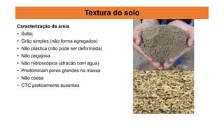 Caracterização da areia
• Solta;
• Grão simples (não forma agregados)
• Não plástica (não pode ser deformada)
• Não pegajosa
• Não hidroscópica (atracão com agua)
• Predominam poros grandes na massa
• Não coesa
• CTC praticamente ausentes
Textura do solo
 