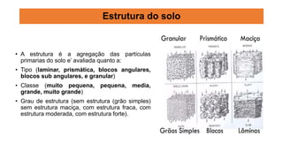 • A estrutura é a agregação das partículas
primarias do solo e’ avaliada quanto a:
• Tipo (laminar, prismática, blocos angulares,
blocos sub angulares, e granular)
• Classe (muito pequena, pequena, media,
grande, muito grande)
• Grau de estrutura (sem estrutura (grão simples)
sem estrutura maciça, com estrutura fraca, com
estrutura moderada, com estrutura forte).
Estrutura do solo
 