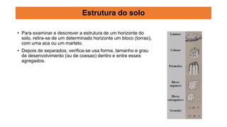 • Para examinar e descrever a estrutura de um horizonte do
solo, retira-se de um determinado horizonte um bloco (torrao),
com uma aca ou um martelo.
• Depois de separados, verifica-se usa forma, tamanho e grau
de desenvolvimento (ou de coesao) dentro e entre esses
agregados.
Estrutura do solo
 