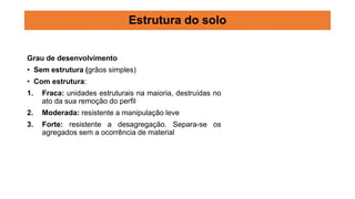 Grau de desenvolvimento
• Sem estrutura (grãos simples)
• Com estrutura:
1. Fraca: unidades estruturais na maioria, destruídas no
ato da sua remoção do perfil
2. Moderada: resistente a manipulação leve
3. Forte: resistente a desagregação. Separa-se os
agregados sem a ocorrência de material
Estrutura do solo
 