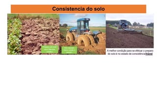 Consistencia do solo
 