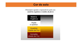 Cor do solo
 