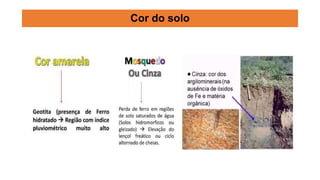 Cor do solo
 