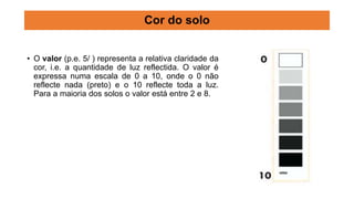 • O valor (p.e. 5/ ) representa a relativa claridade da
cor, i.e. a quantidade de luz reflectida. O valor é
expressa numa escala de 0 a 10, onde o 0 não
reflecte nada (preto) e o 10 reflecte toda a luz.
Para a maioria dos solos o valor está entre 2 e 8.
Cor do solo
 