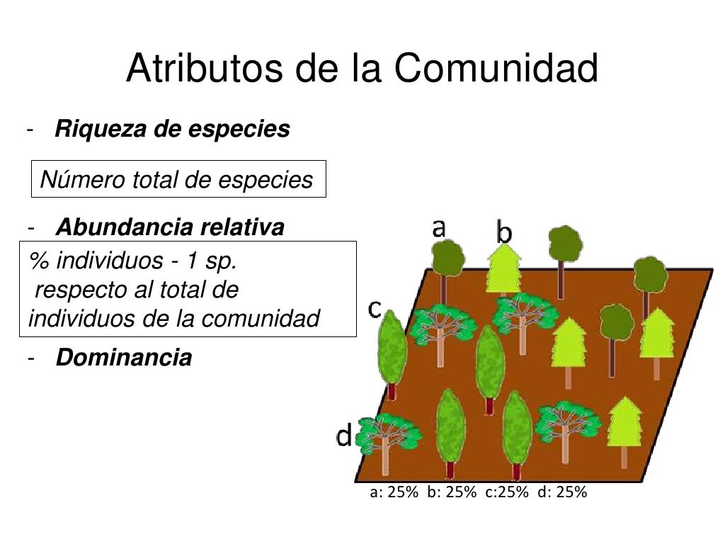 Atributos y estructura de las comunidades naturales Atributos y estructura de las comunidades naturales