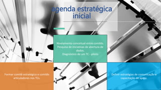agenda estratégica
inicial
Formar comitê estratégico e comitês
articuladores nos TCs.
Definir estratégias de comunicação e
capacitação de apoio.
Nivelamento conceitual entre comitês.
Pesquisa de iniciativas de abertura de
dados.
Diagnóstico de um TC - piloto
 