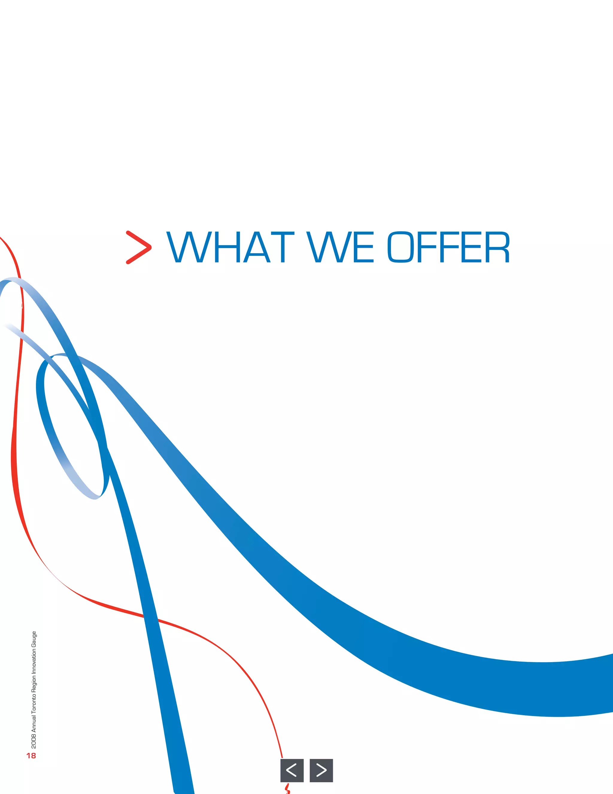 18
 2008 Annual Toronto Region Innovation Gauge




                                               WHAT WE OFFER
 