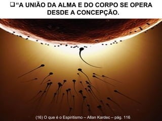 “ A UNIÃO DA ALMA E DO CORPO SE OPERA DESDE A CONCEPÇÃO.   (16) O que é o Espiritismo – Allan Kardec – pág. 116 