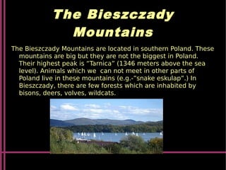 The Bieszczady
Mountains
The Bieszczady Mountains are located in southern Poland. These
mountains are big but they are not the biggest in Poland.
Their highest peak is “Tarnica” (1346 meters above the sea
level). Animals which we can not meet in other parts of
Poland live in these mountains (e.g.-”snake eskulap”.) In
Bieszczady, there are few forests which are inhabited by
bisons, deers, volves, wildcats.
 