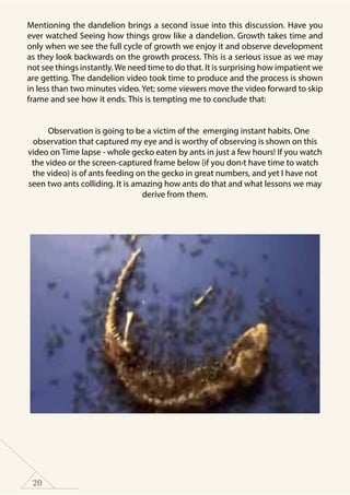 20
Mentioning the dandelion brings a second issue into this discussion. Have you
ever watched Seeing how things grow like a dandelion. Growth takes time and
only when we see the full cycle of growth we enjoy it and observe development
as they look backwards on the growth process. This is a serious issue as we may
not see things instantly.We need time to do that. It is surprising how impatient we
are getting. The dandelion video took time to produce and the process is shown
in less than two minutes video. Yet; some viewers move the video forward to skip
frame and see how it ends. This is tempting me to conclude that:
Observation is going to be a victim of the emerging instant habits. One
observation that captured my eye and is worthy of observing is shown on this
video on Time lapse - whole gecko eaten by ants in just a few hours! If you watch
the video or the screen-captured frame below (if you don›t have time to watch
the video) is of ants feeding on the gecko in great numbers, and yet I have not
seen two ants colliding. It is amazing how ants do that and what lessons we may
derive from them.
 