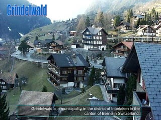   Grindelwald is a municipality in the district of Interlaken in the canton of Berne in Switzerland. Grindelwald 