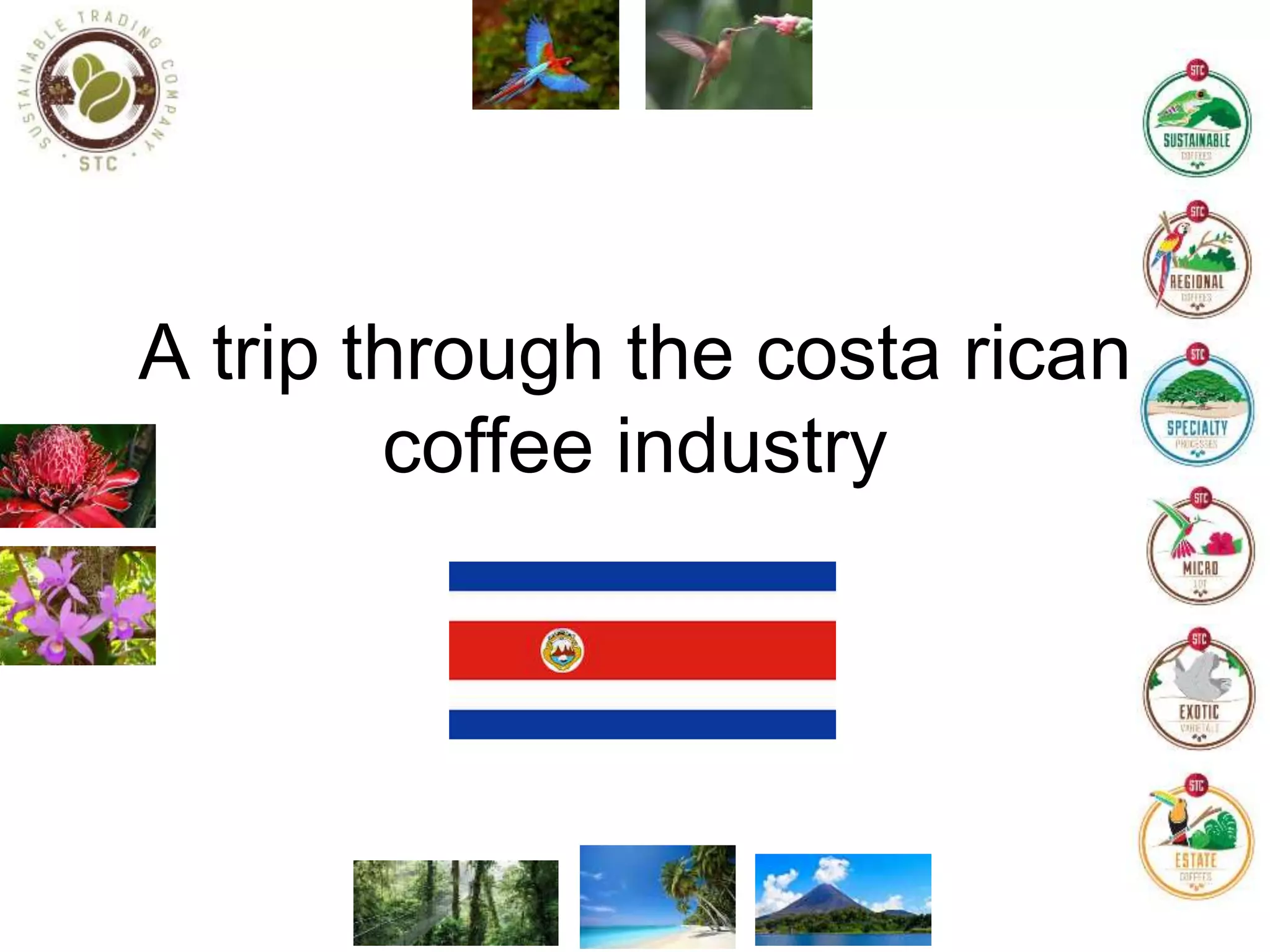A trip through the Costa Rican coffee industry PPT