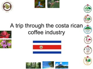 A trip through the costa rican
coffee industry
 